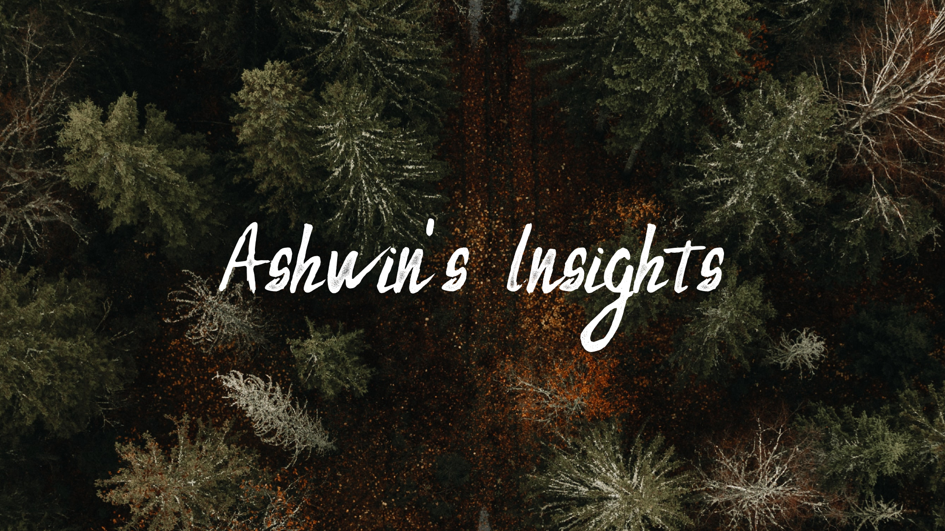 Image of forest that says 'Ashwin's Insights'
